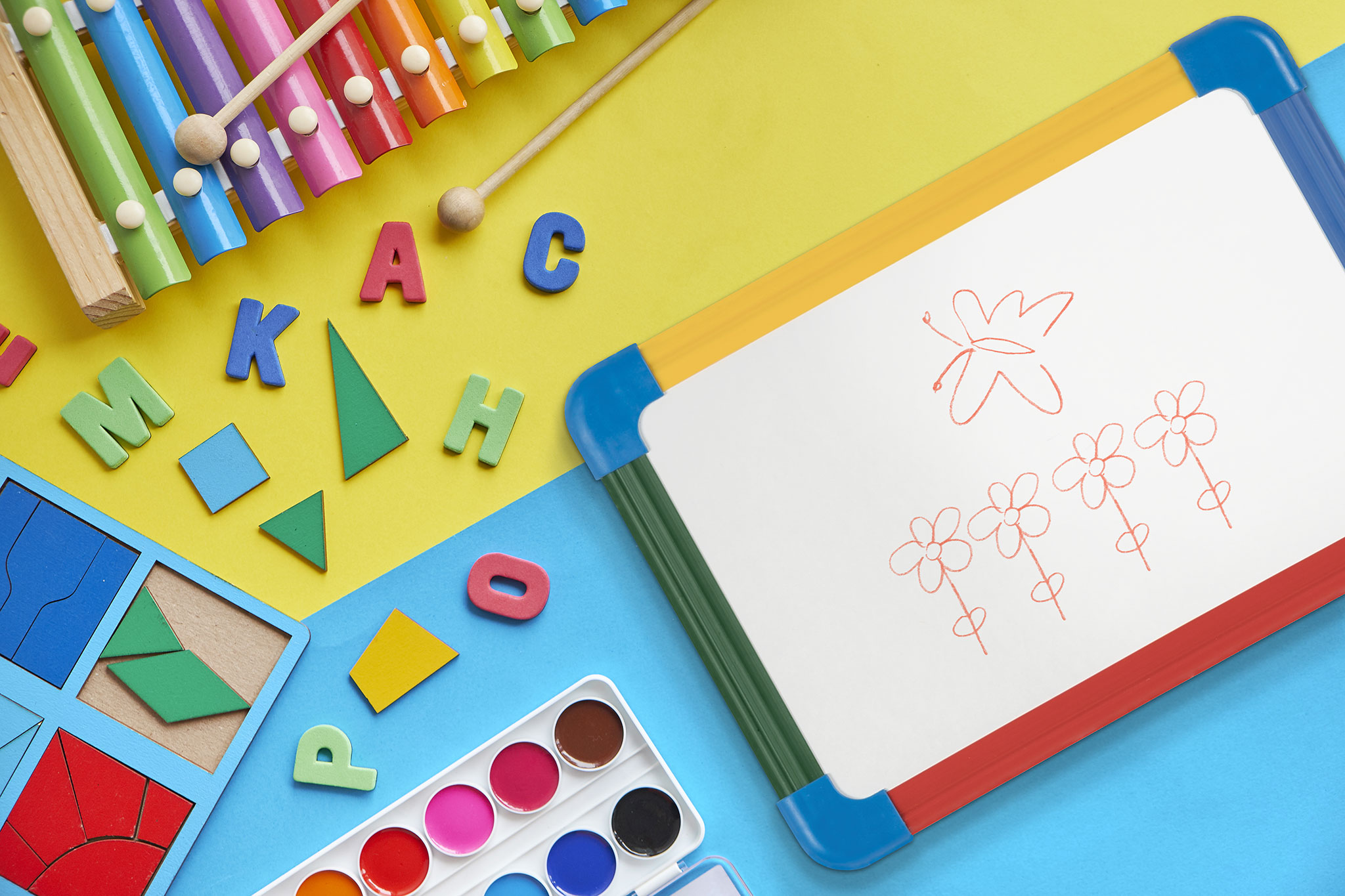 Schoolmate Laptop Board